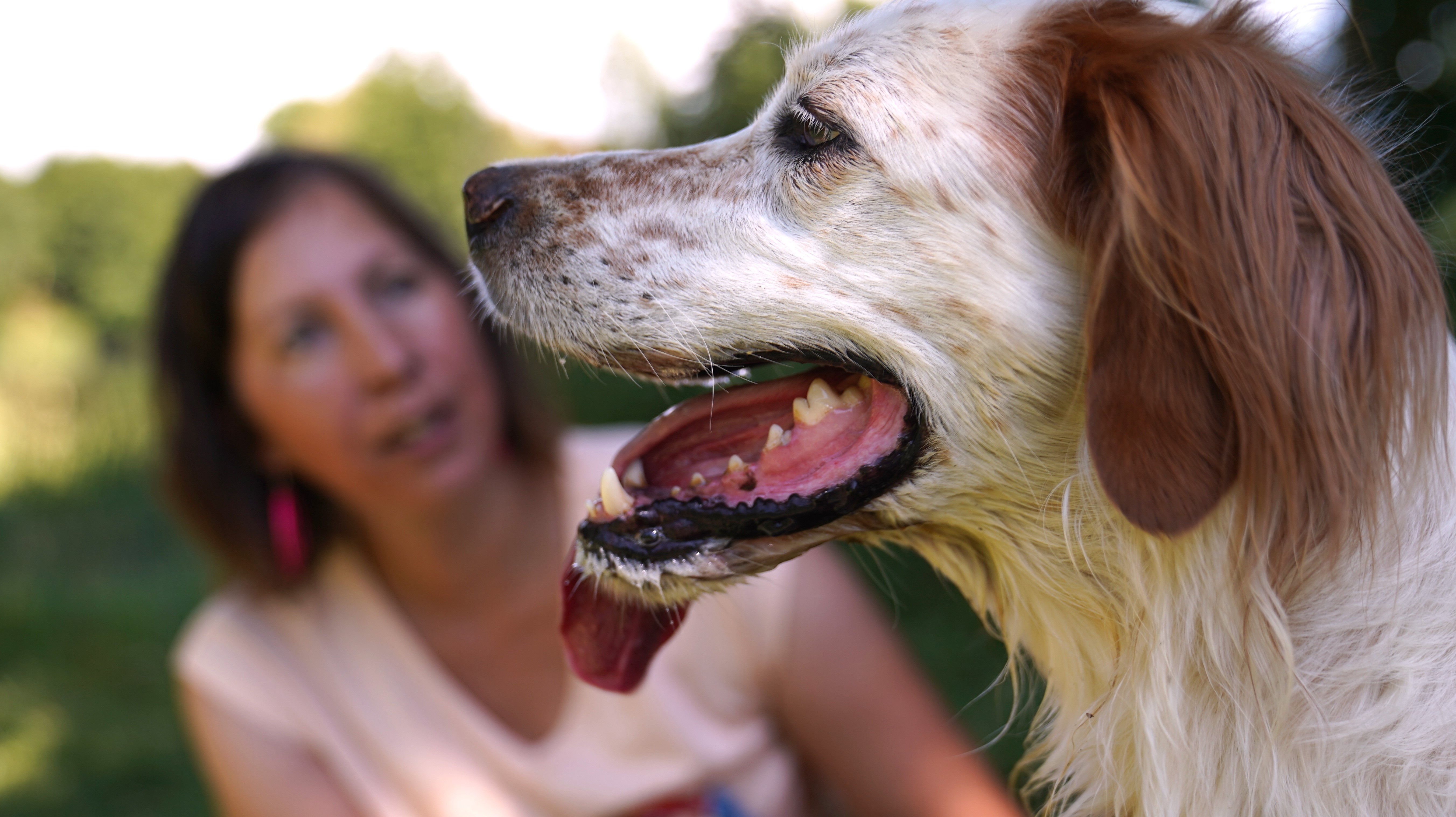 Photo du thérapeute