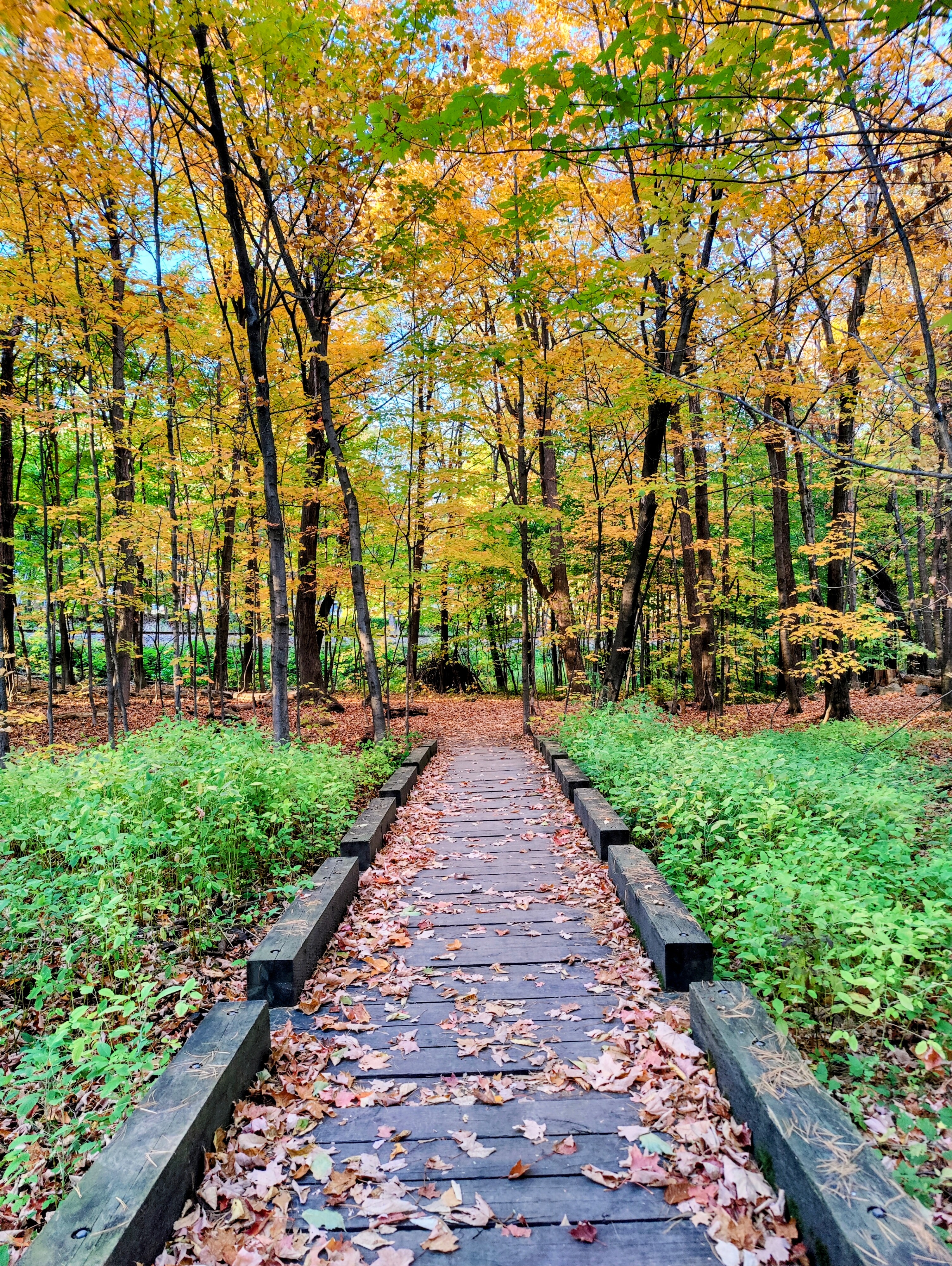 Photo de Anne-Catherine Palud